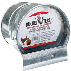 Galvanized Bucket Waterer - 1 Gallon