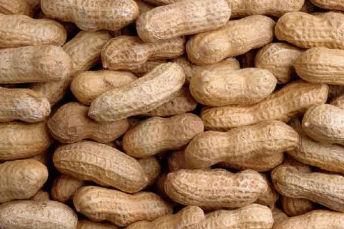 Top Crop - Peanuts In Shell - Raw Peanuts - 10LB