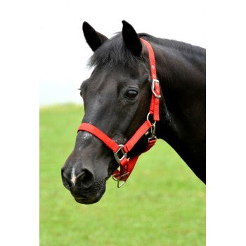 CAVALIER SOFT NYLON PONY HLTR