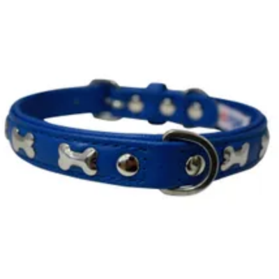 ANGEL PET ROTTERDAM BONES