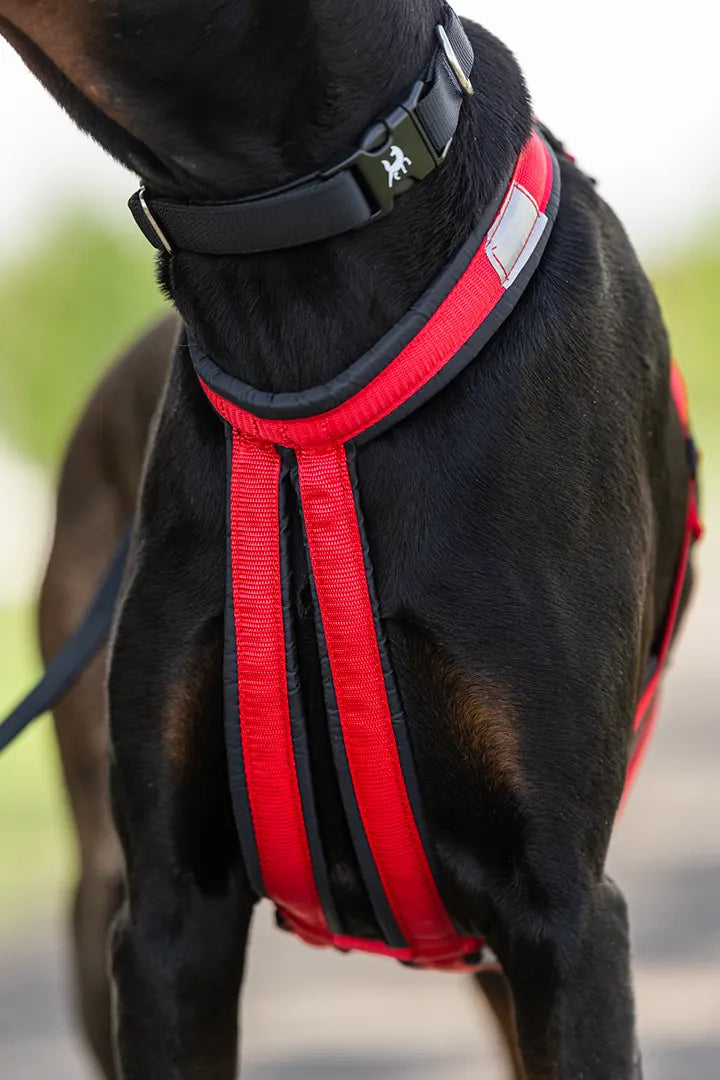 DOG HYBRID HARNESS