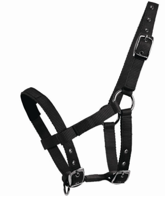 MINI HALTER PADDED