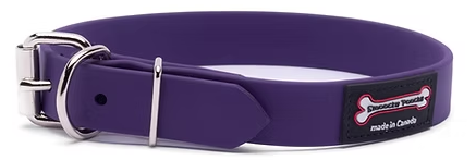 SMOOCHY POOCHY DOG COLLAR