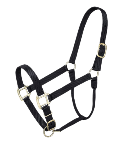 PONY HALTER