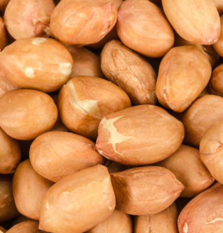 TOP PEANUTS "NO SHELL"10LBS