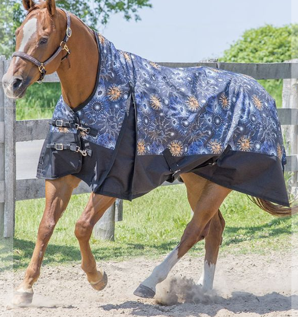 HORSE WINTER BLANKET