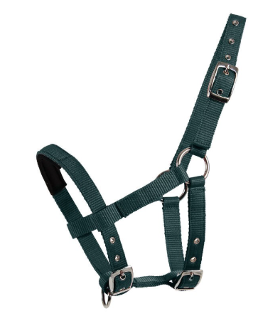 MINI HALTER PADDED