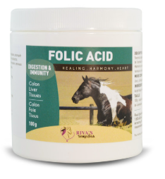 RIVA'S FOLIC ACID HORSE