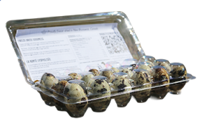 FREEZE DRIED QUAIL EGGS