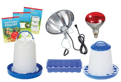 BEGINNER POULTRY KIT
