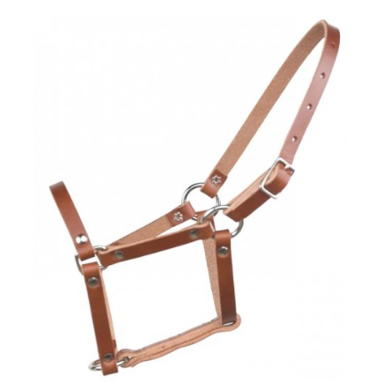 MINI HORSE LEATHER HALTER