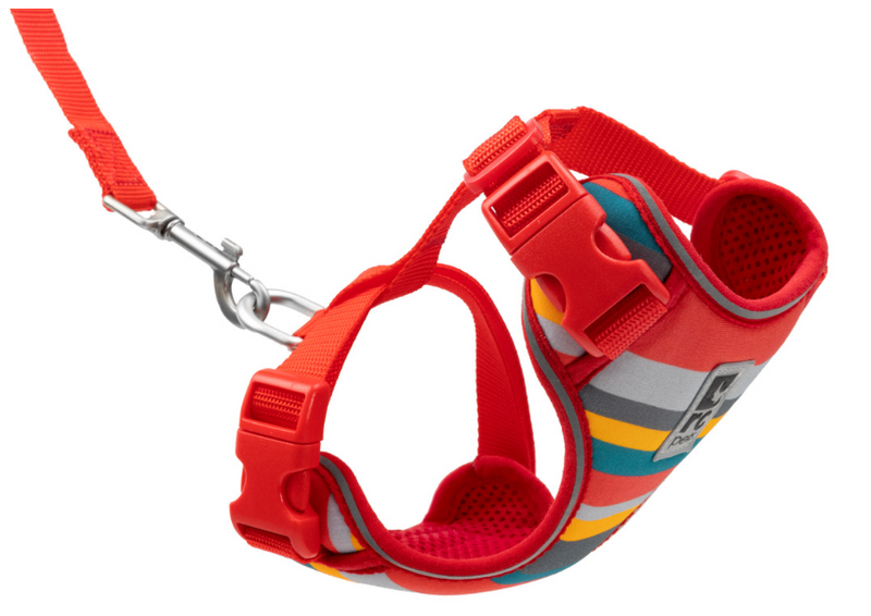 ADVENTURE KITTY HARNESS