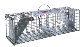 LIVE TRAP - SINGLE DOOR