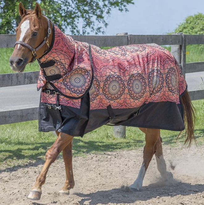 HORSE WINTER BLANKET