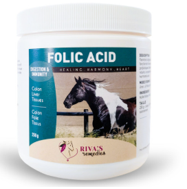 RIVA'S FOLIC ACID HORSE