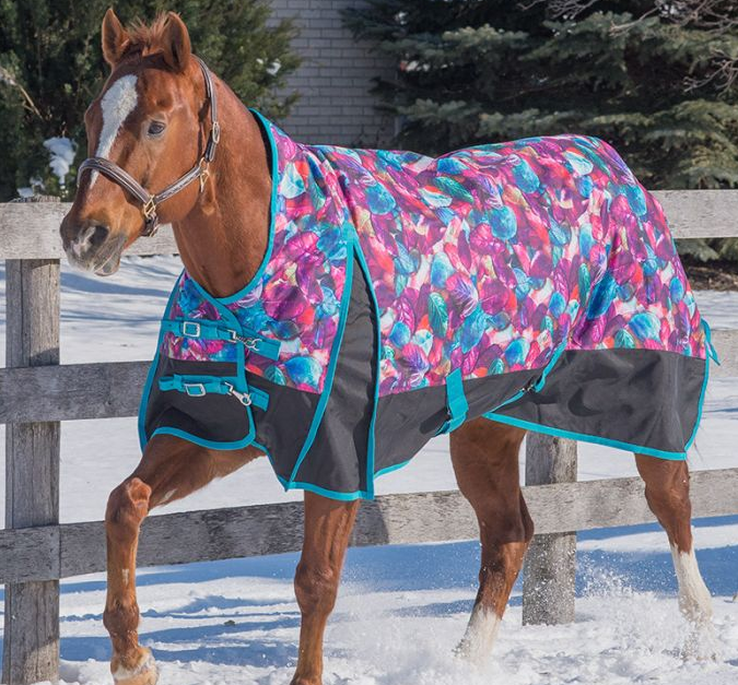 HORSE WINTER BLANKET