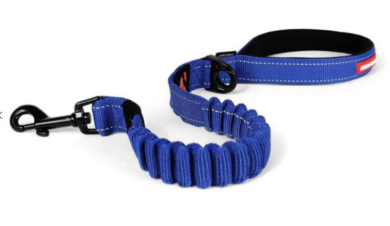 EZYDOG ZERO SHOCK LEASH