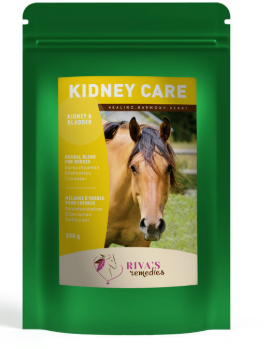 RIVA'S KIDNEY CARE
