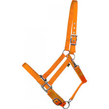 CAVALIER SOFT NYLON PONY HLTR