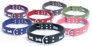 ANGEL PET ROTTERDAM BONES