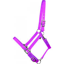 CAVALIER SOFT NYLON PONY HLTR