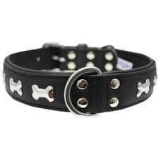 ANGEL PET ROTTERDAM BONES