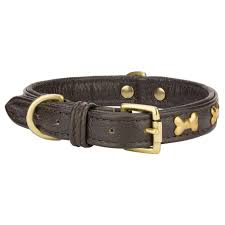 ANGEL PET ROTTERDAM BONES