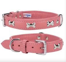 ANGEL PET ROTTERDAM BONES