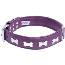 ANGEL PET ROTTERDAM BONES