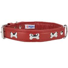 ANGEL PET ROTTERDAM BONES