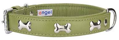 ANGEL PET ROTTERDAM BONES