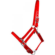 CAVALIER SOFT NYLON PONY HLTR