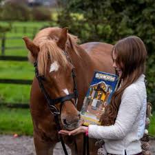 ADVENT CALENDAR - STUD MUFFINS
