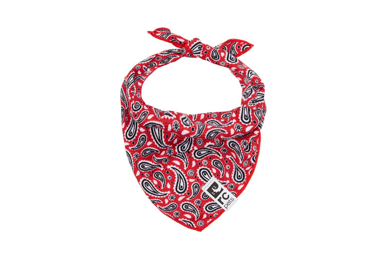 ZEPHYR COOLING BANDANA