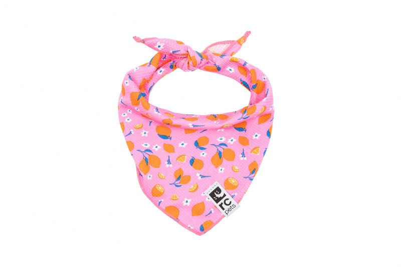 ZEPHYR COOLING BANDANA