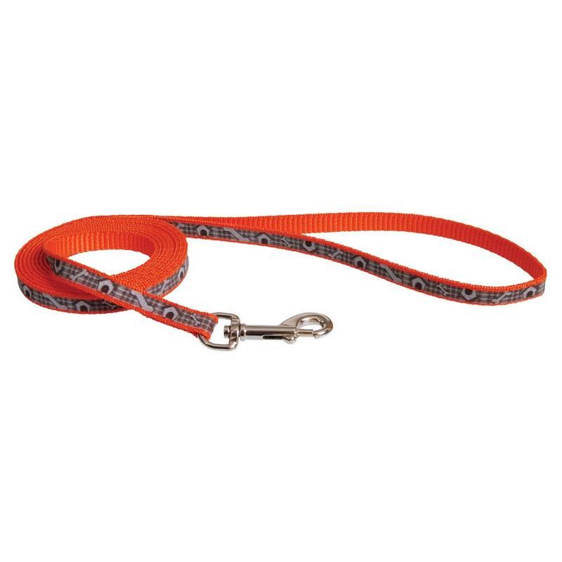 Coastal Lazer Brite Reflective Leash Little Bit Western