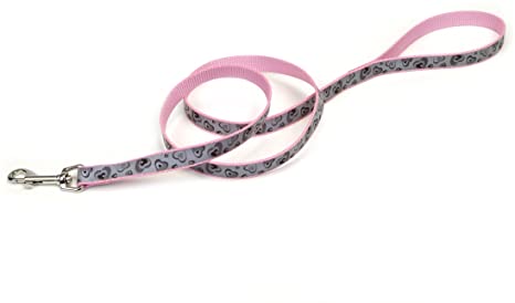 Coastal Lazer Brite Reflective Leash Little Bit Western