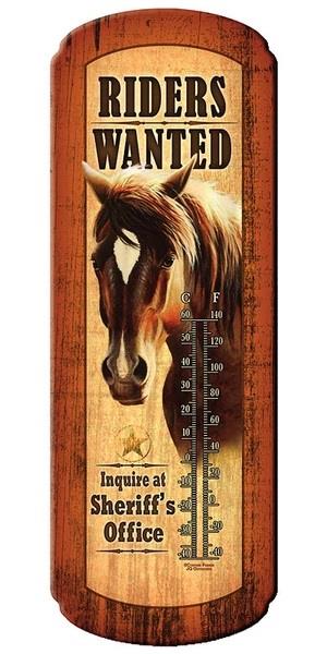 Tin Thermometers 17"x5"