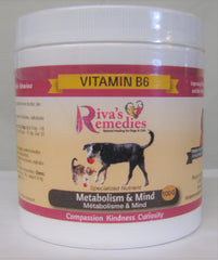 Vitamin B6 Powder for Dogs and Cats