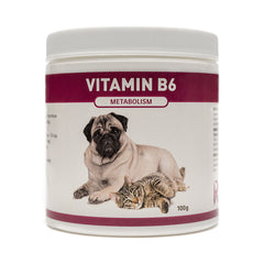 Riva's Remedies - Vitamin B6 - Dogs & Cats
