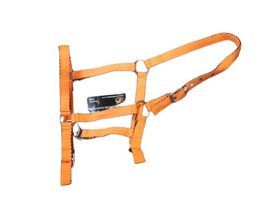 Silverline Padded Foal Halter - Neon Colours