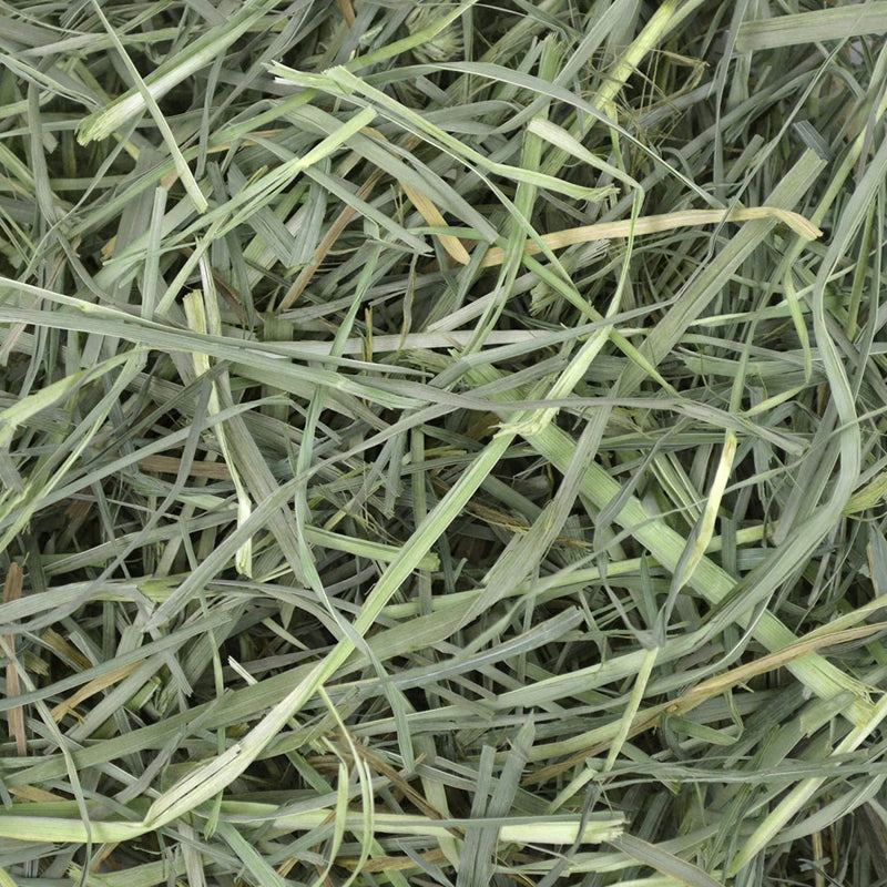 Oxbow - Orchard Grass Hay - 40oz