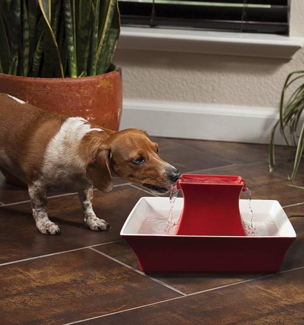 PetSafe Drinkwell Pagoda Dog and Cat Water Fountain - Stoneware Red - 2L