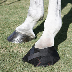 Hoof Wraps Brand - Equine Hoof Bandage