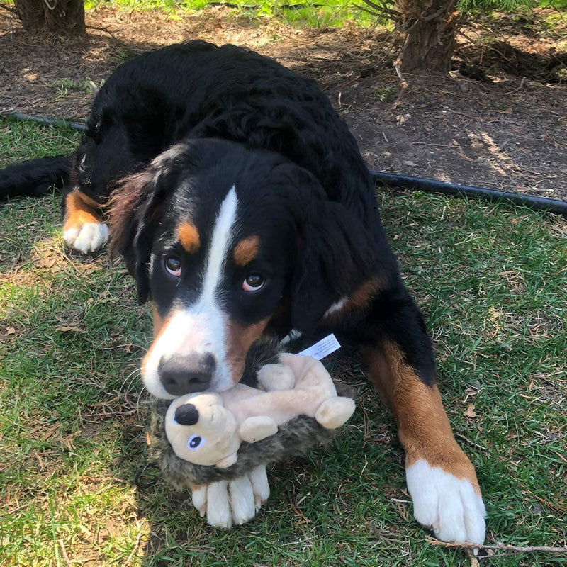 Tender Tuffs - Crinkle Hedgehog