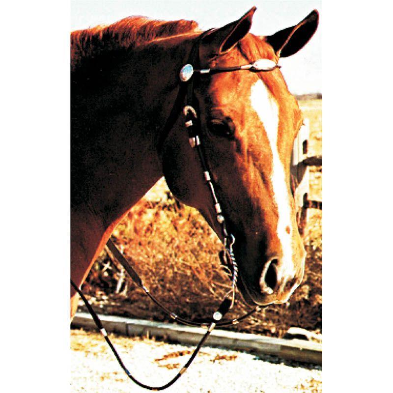 Poco Western Headstall - Horse Size