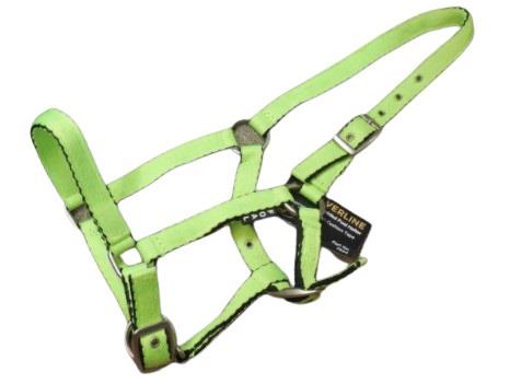 Silverline Padded Foal Halter - Neon Colours