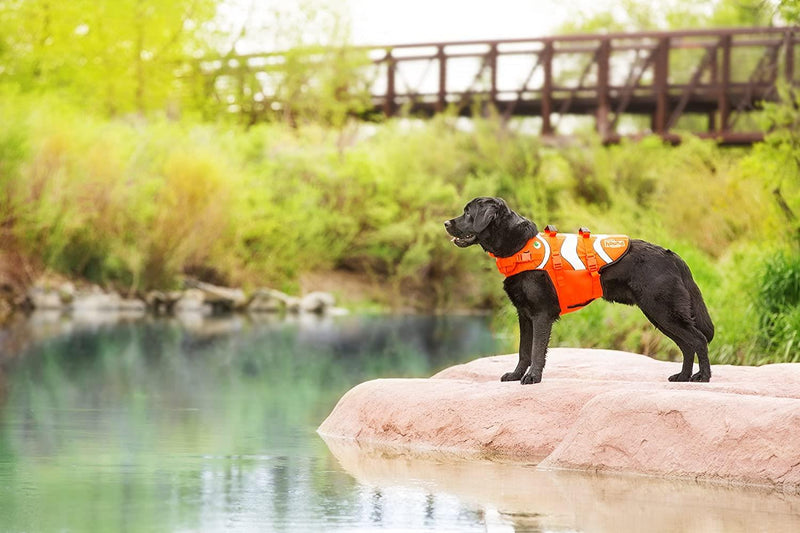 Outward Hound - Fun Fish Life Jacket