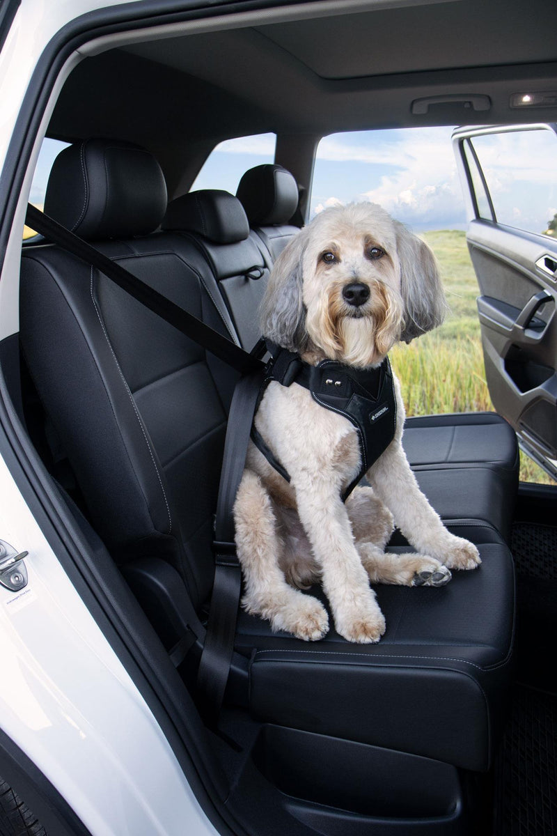The Rocketeer Pack Dog Seat Belt Harness For Car The Rocketeer