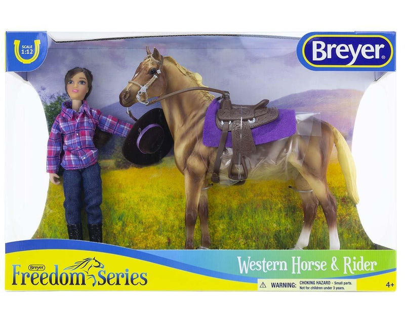 Western Rider and Horse
